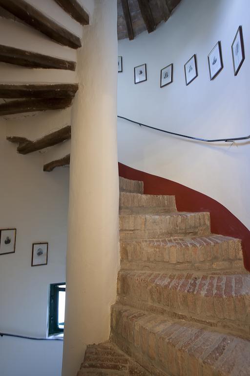 Гостьовий будинок Fattoria Della Gioiosa - Agriturismo La Gelinda Казале-Маріттімо Екстер'єр фото